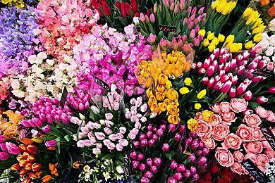 《鬼武者：剑之路》没有删减！导演表示将一视同仁